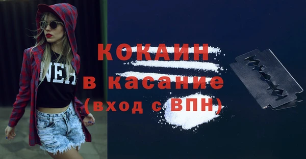 крисы Алзамай