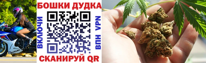 Шишки марихуана марихуана  MEGA ТОР  Королёв 